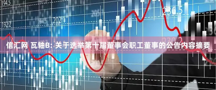 信汇网 瓦轴B: 关于选举第十届董事会职工董事的公告内容摘要
