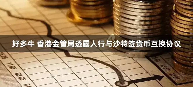 好多牛 香港金管局透露人行与沙特签货币互换协议