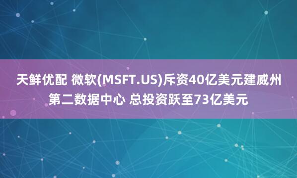 天鲜优配 微软(MSFT.US)斥资40亿美元建威州第二数据中心 总投资跃至73亿美元